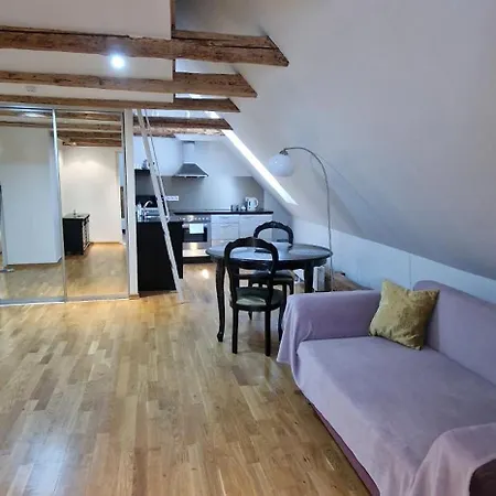 公寓 Old Town Luxury *